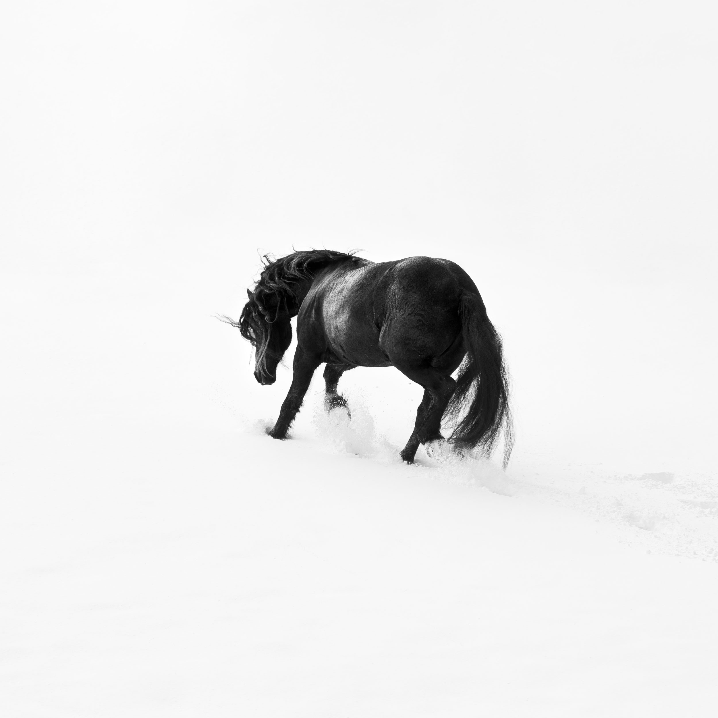 SNOW PLAY